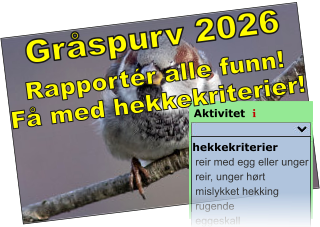Promotering