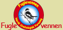 Fuglevennen