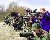 Teleskopkikking