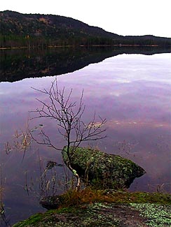 Nordmarka