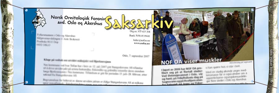 Ekskursjoner og møter