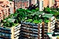 Green Roof