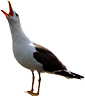 M&aring;ke